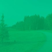 Heritage Park Tribute Forest with green overlay