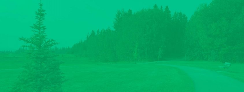 Heritage Park Tribute Forest with green overlay