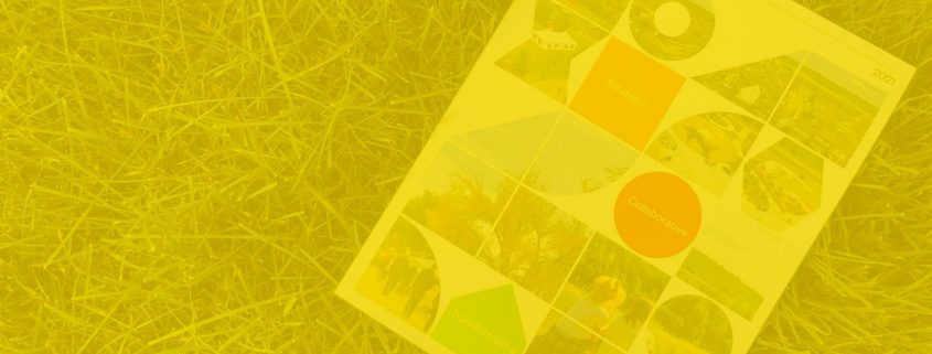 tri region document on grass yellow overlay